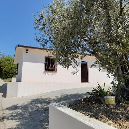 Villa Paradiso Montegiordano Εξωτερικό φωτογραφία