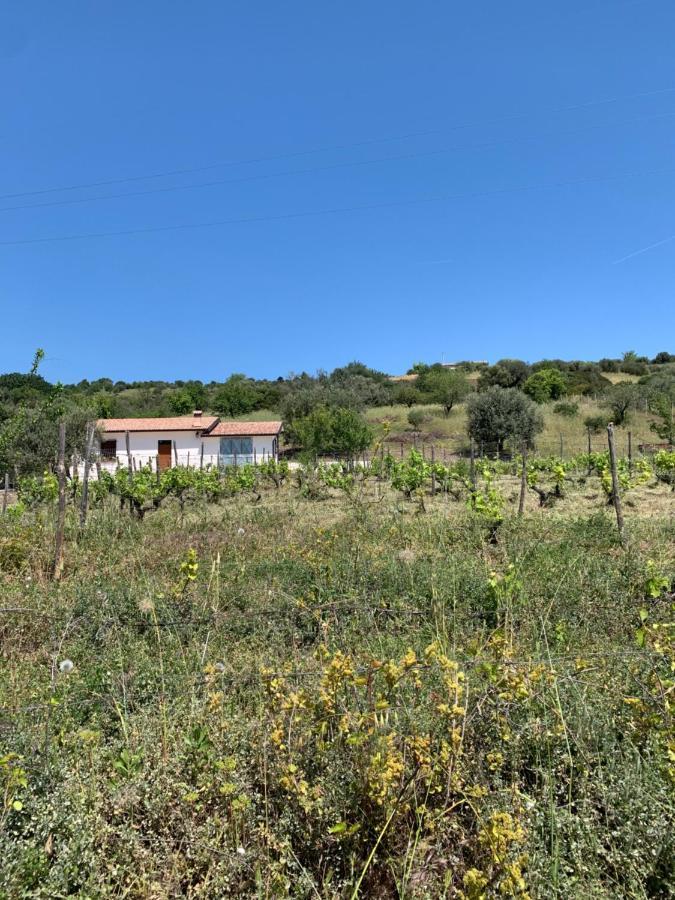 Villa Paradiso Montegiordano Εξωτερικό φωτογραφία