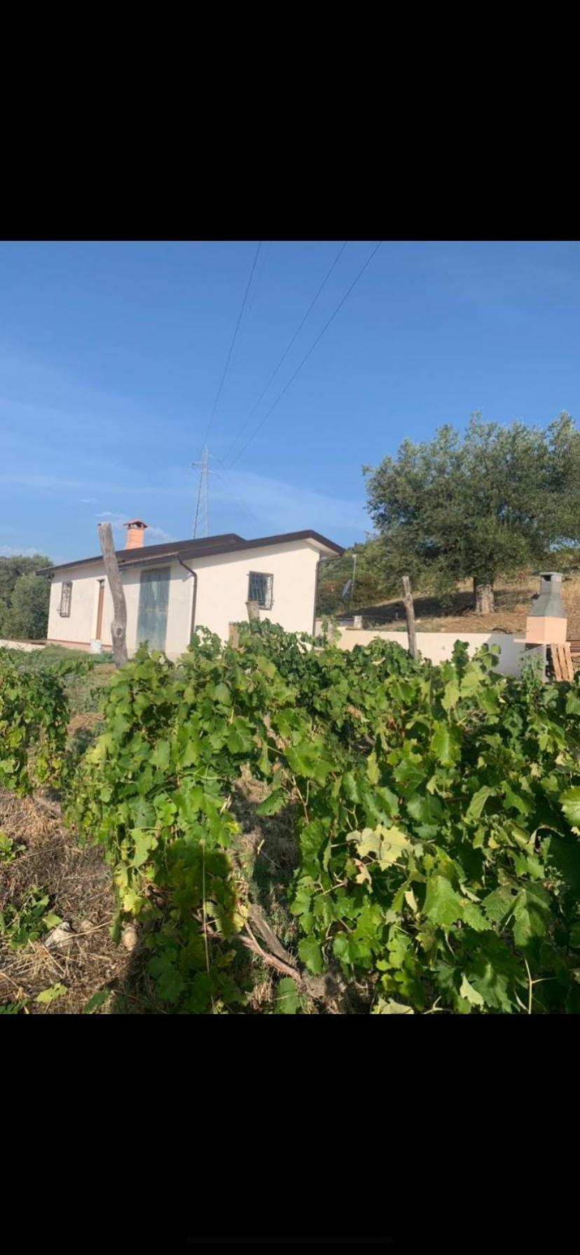Villa Paradiso Montegiordano Εξωτερικό φωτογραφία